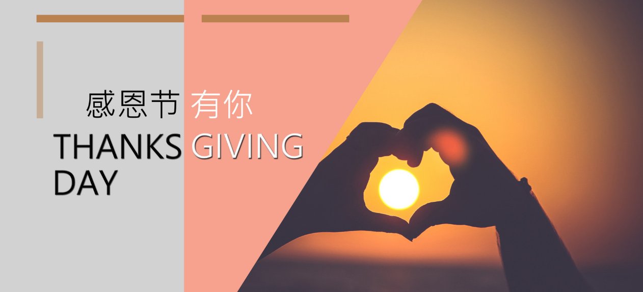 感谢老师的辛勤付出和悉心教导的意思是什么？