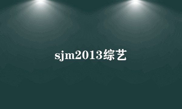 sjm2013综艺