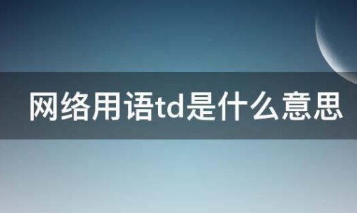 网络用语td是指