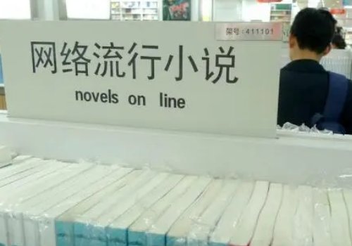 王亮和李晨的母亲的故事叫啥?