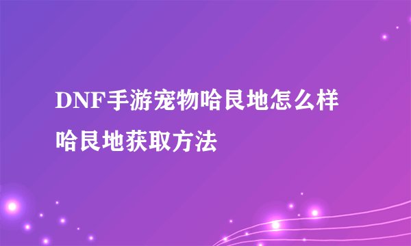 DNF手游宠物哈艮地怎么样 哈艮地获取方法