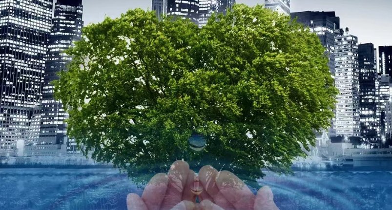 呼吁人们保护环境的英语