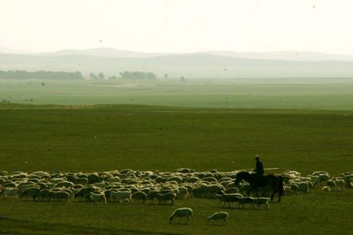 植树的牧羊人中“灰灰的薄雾”指的是什么?