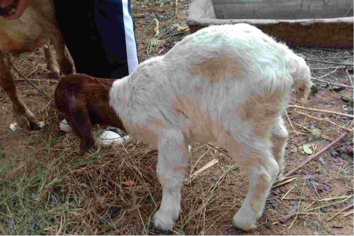 能耐的近义词是什么词