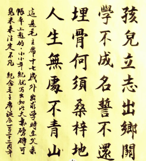 埋骨何须桑梓地，人生无处不青山。