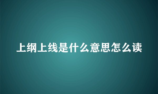 上纲上线是什么意思怎么读