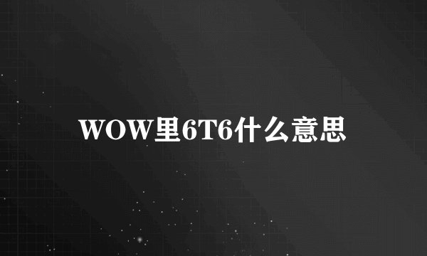 WOW里6T6什么意思