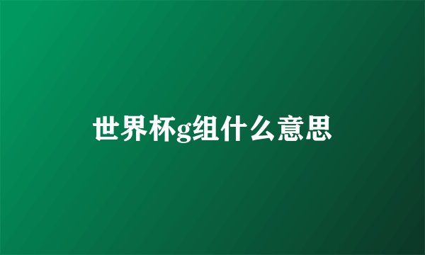 世界杯g组什么意思