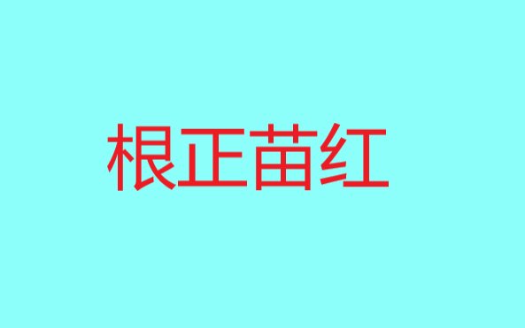 根正苗红啥意思
