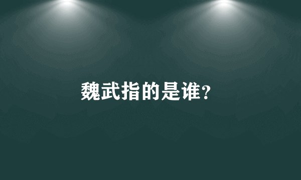魏武指的是谁？