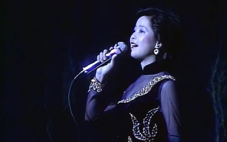 我需要? 邓丽君演唱会，谁有这个歌手的网盘资源？