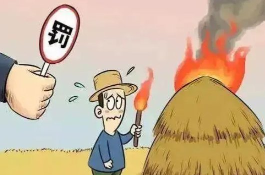 顶风作案的意思