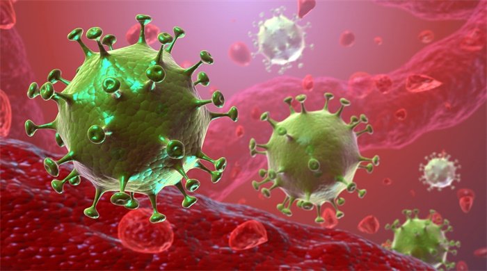 印度各地发现了240种变异新冠病毒，我国该如何保护自己不被牵连？