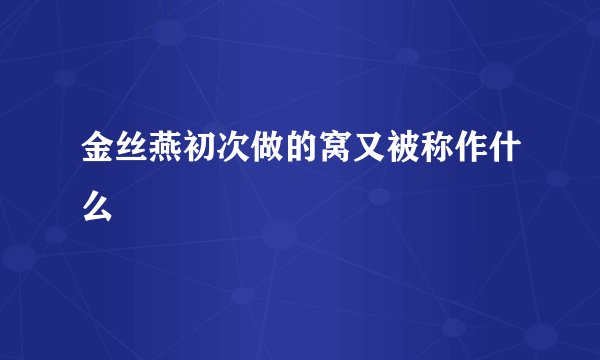 金丝燕初次做的窝又被称作什么