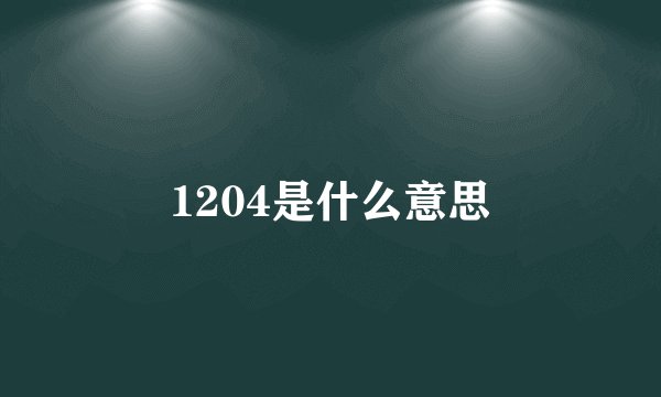 1204是什么意思