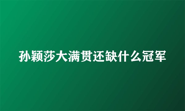孙颖莎大满贯还缺什么冠军