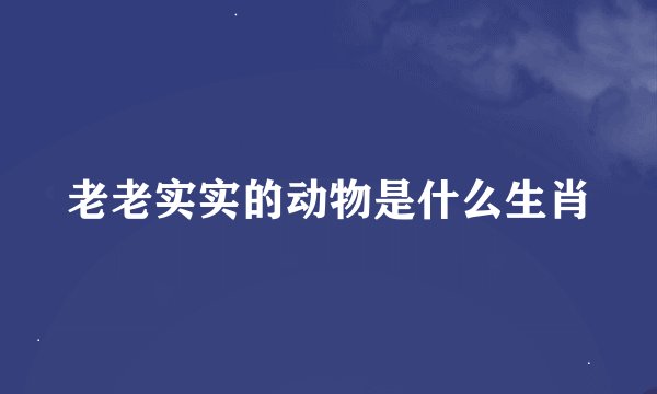老老实实的动物是什么生肖