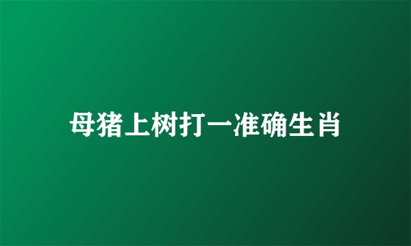 母猪上树打一准确生肖
