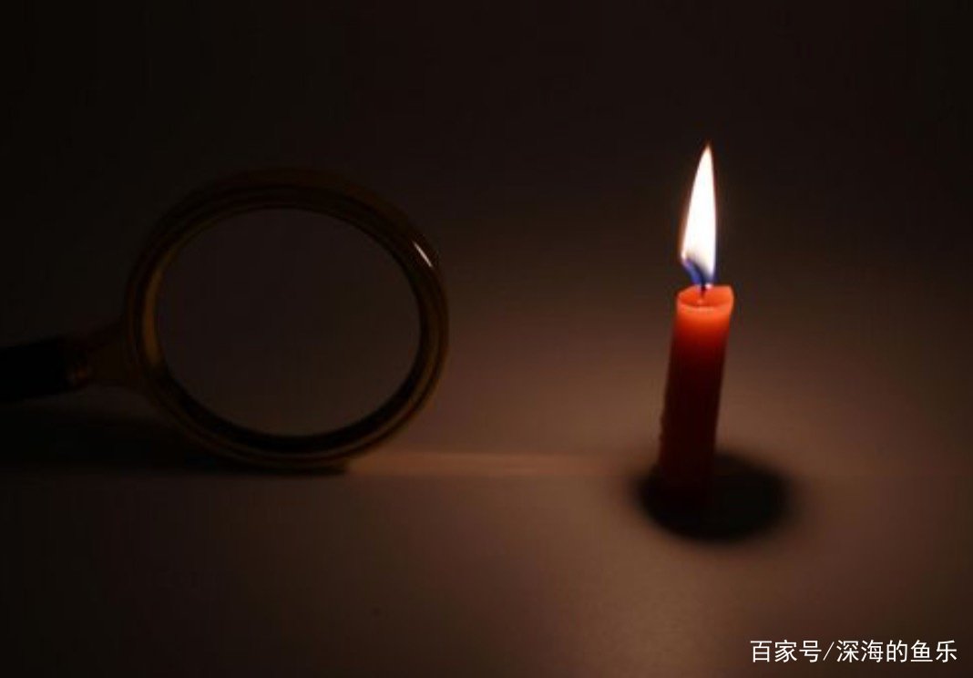 蔡向阳的死因是什么
