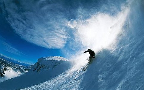 尾崎八项有哪些