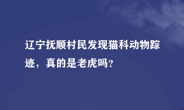 辽宁抚顺村民发现猫科动物踪迹，真的是老虎吗？