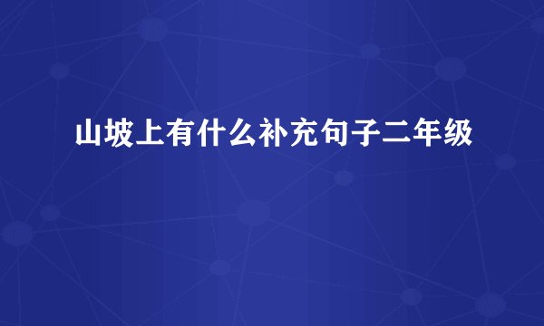 山坡上有什么补充句子二年级