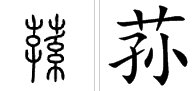 “荪”读什么？