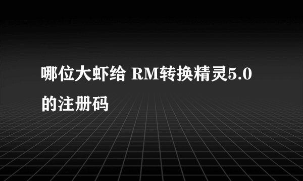 哪位大虾给 RM转换精灵5.0的注册码