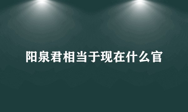 阳泉君相当于现在什么官