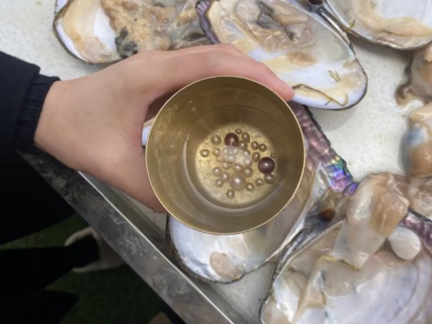 网络语开蚌是什么意思