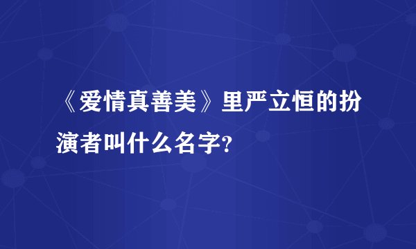 《爱情真善美》里严立恒的扮演者叫什么名字？