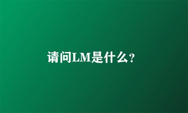 请问LM是什么？