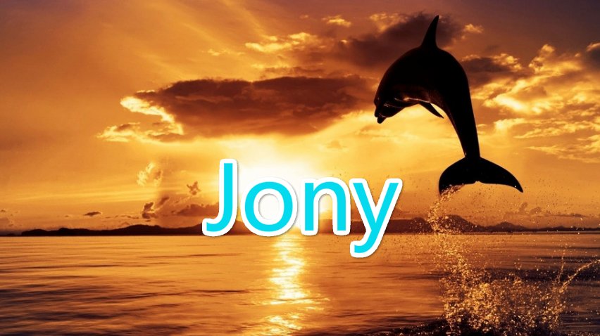 Jony什么意思