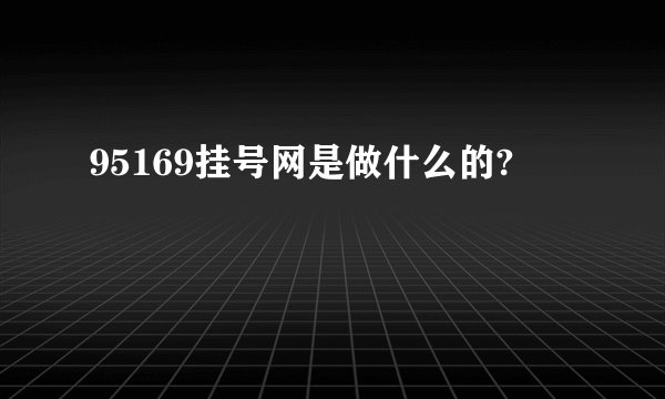 95169挂号网是做什么的?