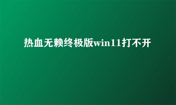 热血无赖终极版win11打不开