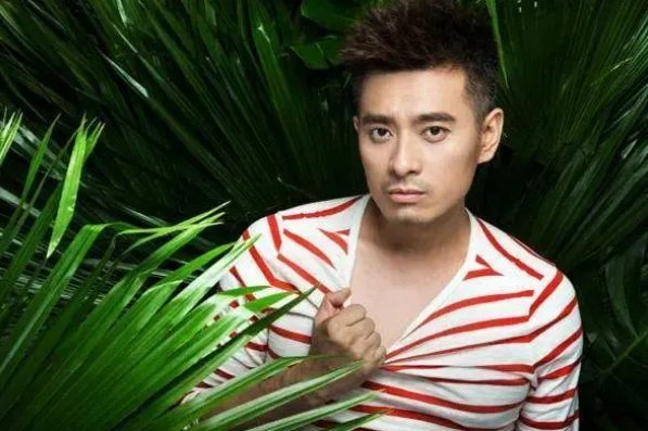 陈龙主演过的电视剧大全