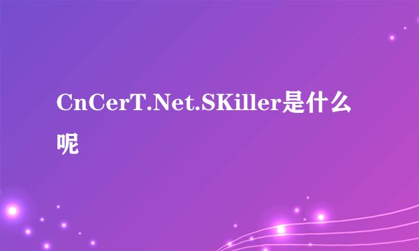 CnCerT.Net.SKiller是什么呢