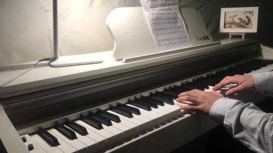 fz在钢琴谱中是什么意思