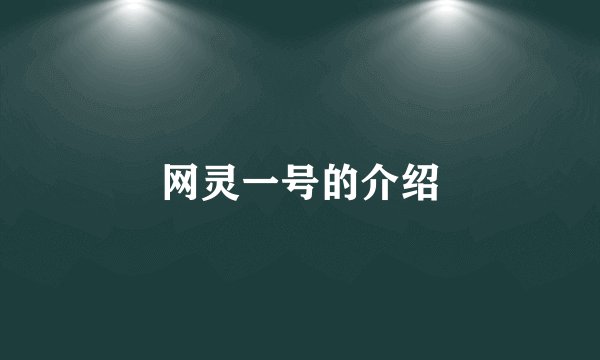 网灵一号的介绍