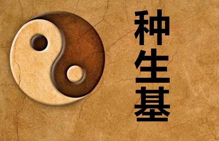 种生基什么意思