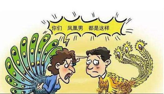 孔雀男是什么意思。