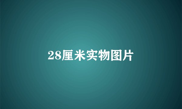 28厘米实物图片