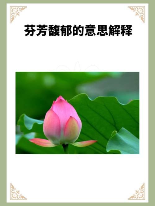 芬芳馥郁的意思解释？