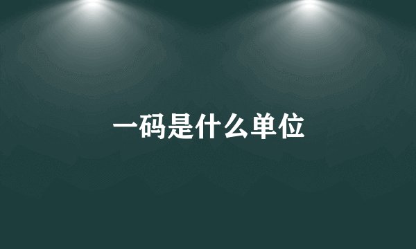 一码是什么单位
