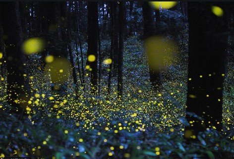 模仿走月亮第六自然段50字