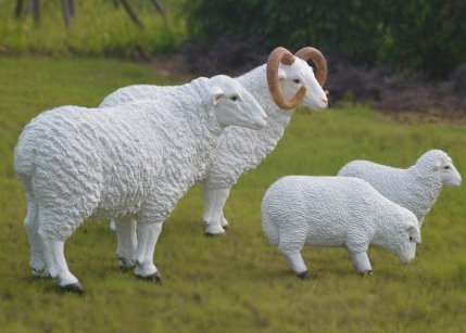 baa是什么意思啊？怎么读？