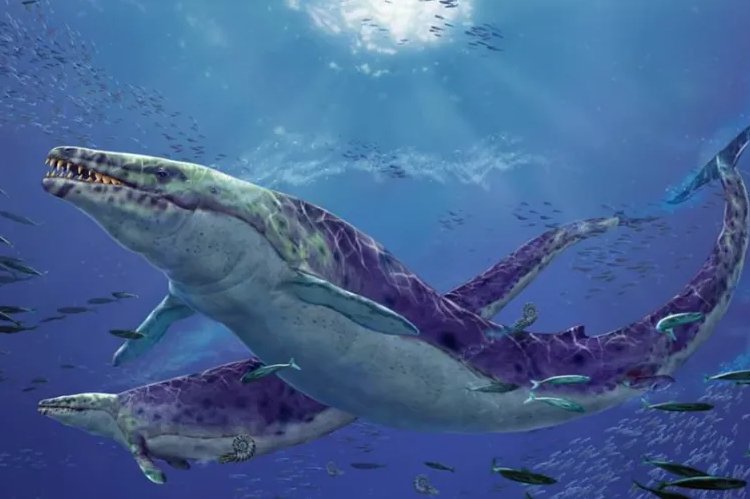 世界十大深海巨兽是哪十大？