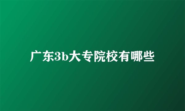 广东3b大专院校有哪些