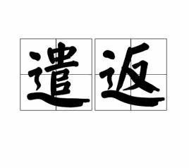 遣返是什么意思