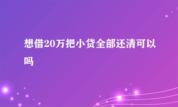 想借20万把小贷全部还清可以吗